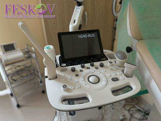 Медицинские и юридические различия между гестационным и традиционным суррогатным материнством