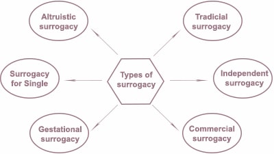известные виды суррогатного материнства