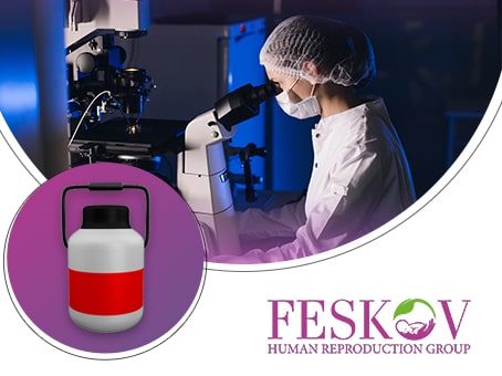 новость: Почему процедура транспортировки криоконсервированных яйцеклеток в агентстве суррогатного материнства Feskov эффективна и в вашем случае?