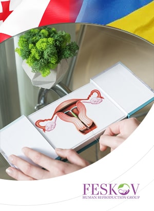 Суррогатное материнство в Грузии и Украине: где лучше условия? 