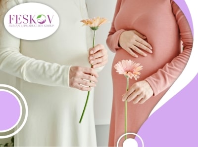 Показатель успешности ЭКО в 2024 году