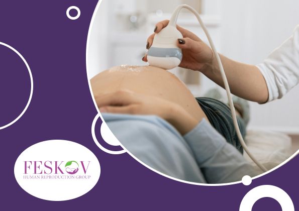 цена суррогатной матери Нидерланды