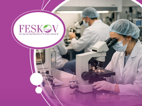 Оценка эмбрионов: понимание оценки качества эмбрионов