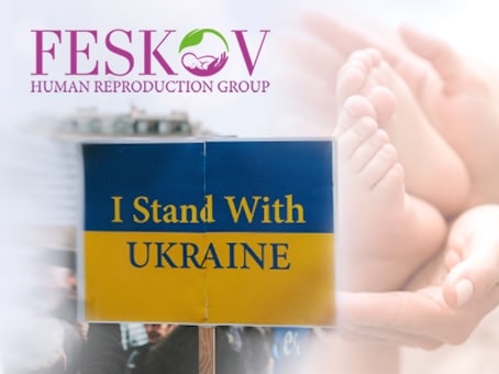 Жизнь Украины и работа Feskov Human Reproduction Group во время войны
