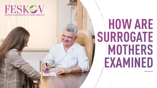 Как обследуются суррогатные мамы в FHRG? - feskov surrogacy