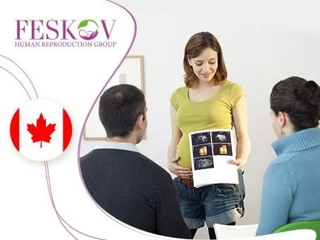 Суррогатное материнство в Канаде: путеводитель для будущих родителей изображение