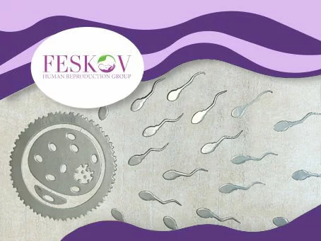 Суррогатное материнство: юридические права родителей и суррогатных матерей изображение