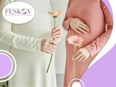 Показатель успешности ЭКО в 2024 году