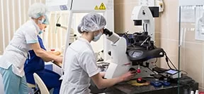 Митохондриальное лечение / пронуклеарный перенос для Guarantee IVF Митохондриальное лечение / пронуклеарный перенос для Guarantee IVF