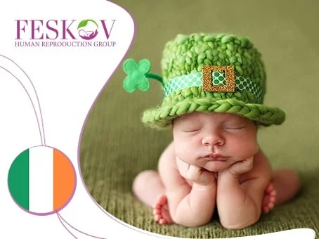 новость: Донорство яйцеклеток в Ирландии изображение