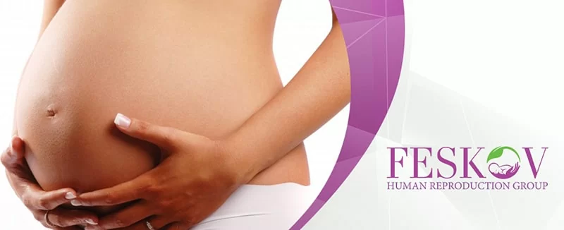 трансплантации матки трансплантации матки